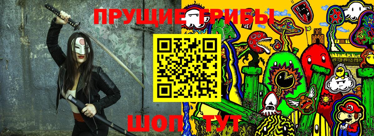 Псилоцибиновые грибы Cubensis Сибай